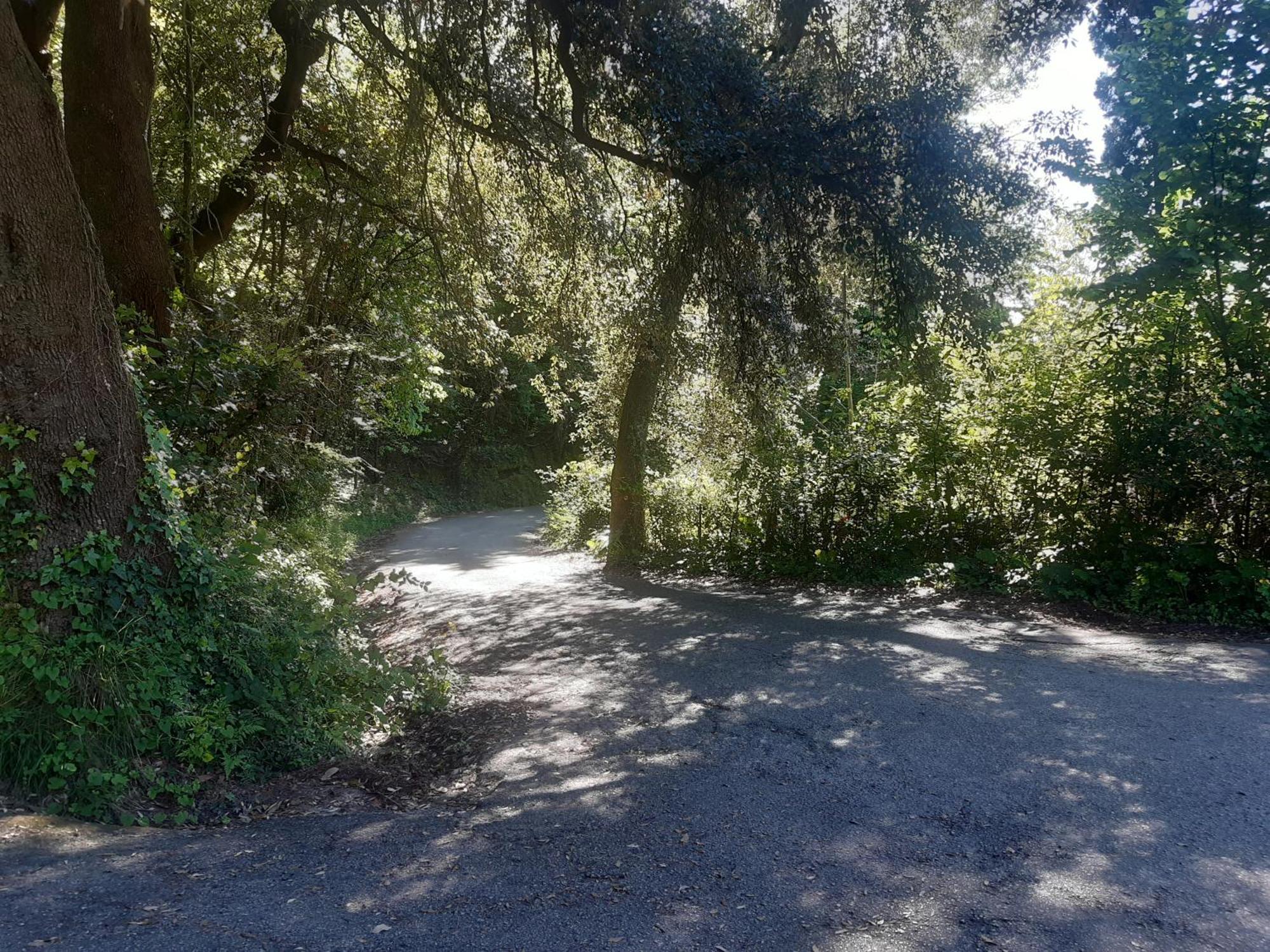 Belvedere 10 Pietrasanta Dış mekan fotoğraf