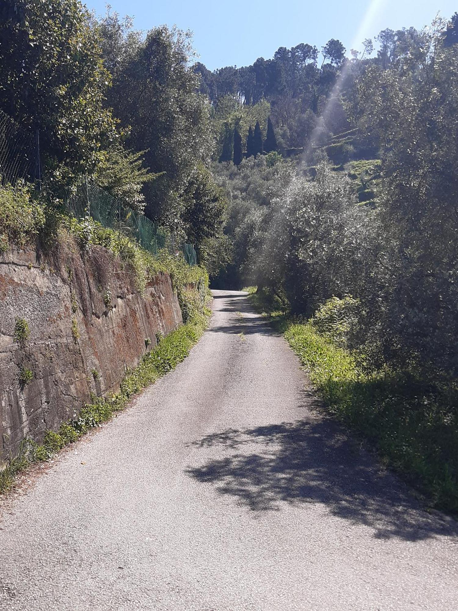 Belvedere 10 Pietrasanta Dış mekan fotoğraf