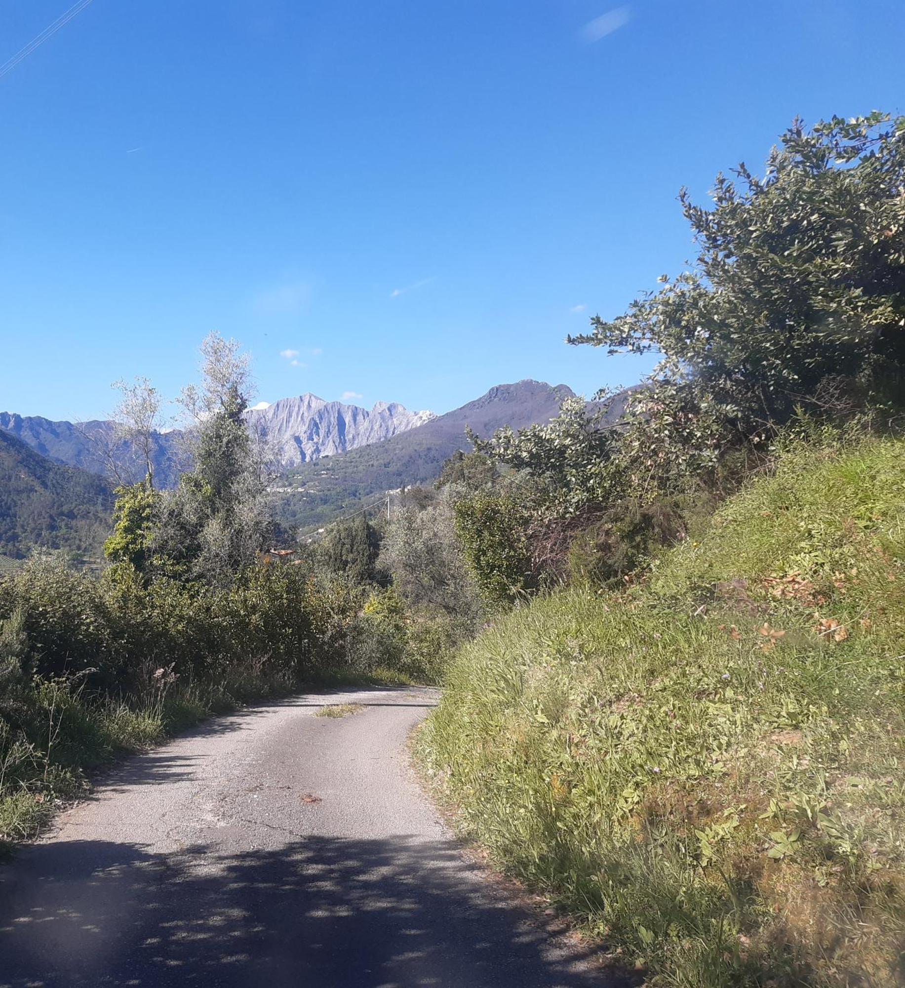 Belvedere 10 Pietrasanta Dış mekan fotoğraf