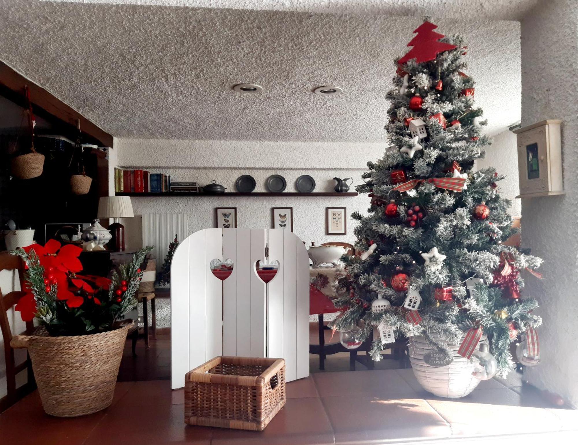 Belvedere 10 Pietrasanta Dış mekan fotoğraf